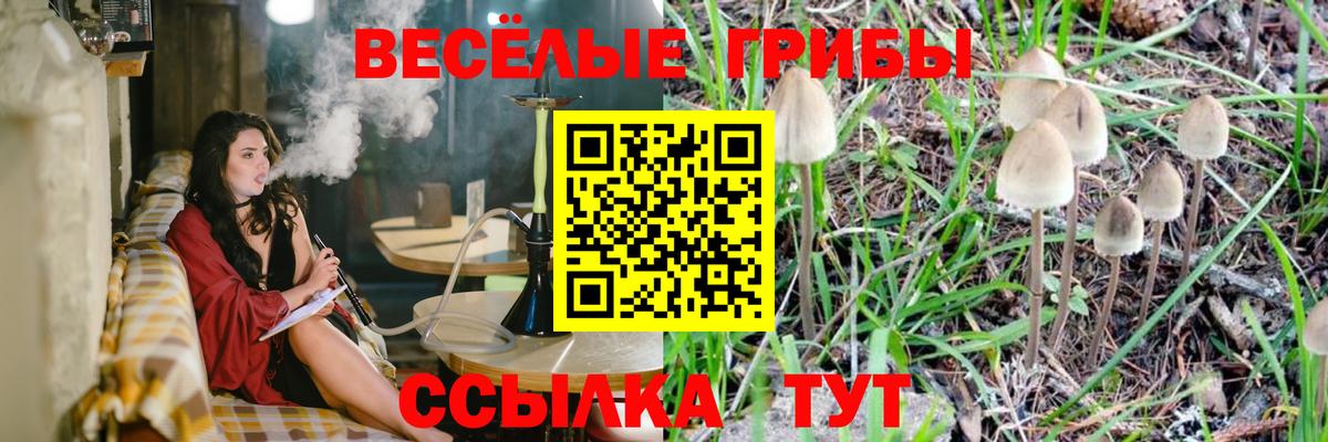 купить наркотик  Галлюциногенные грибы мухоморы  Вход с VPN  Биробиджан 